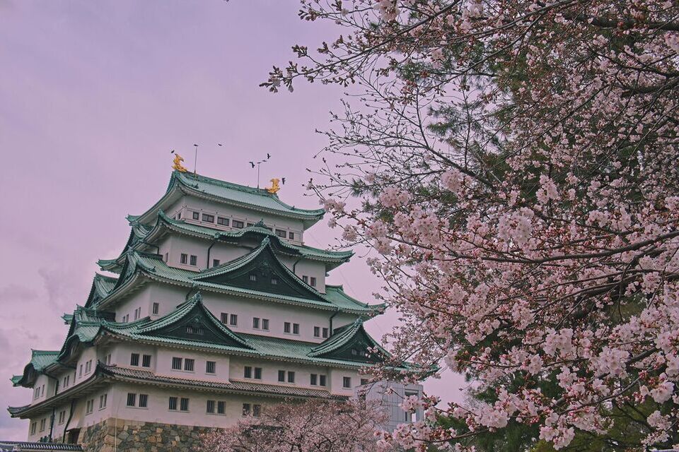 Best Time to Visit Japan: What you need to know before going 