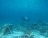 Exoticvoyages