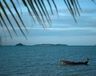 Exoticvoyages