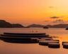 Exoticvoyages
