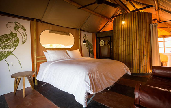 Exoticvoyages