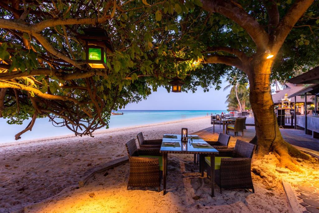 Exoticvoyages