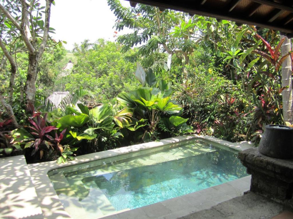 Exoticvoyages