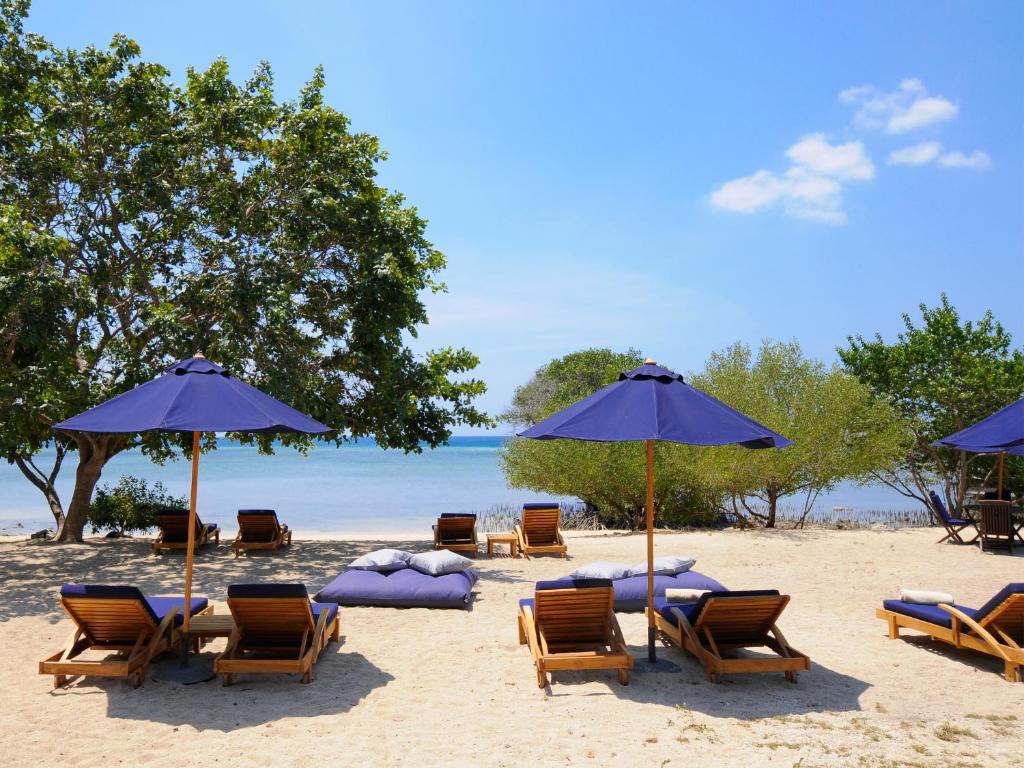 Exoticvoyages