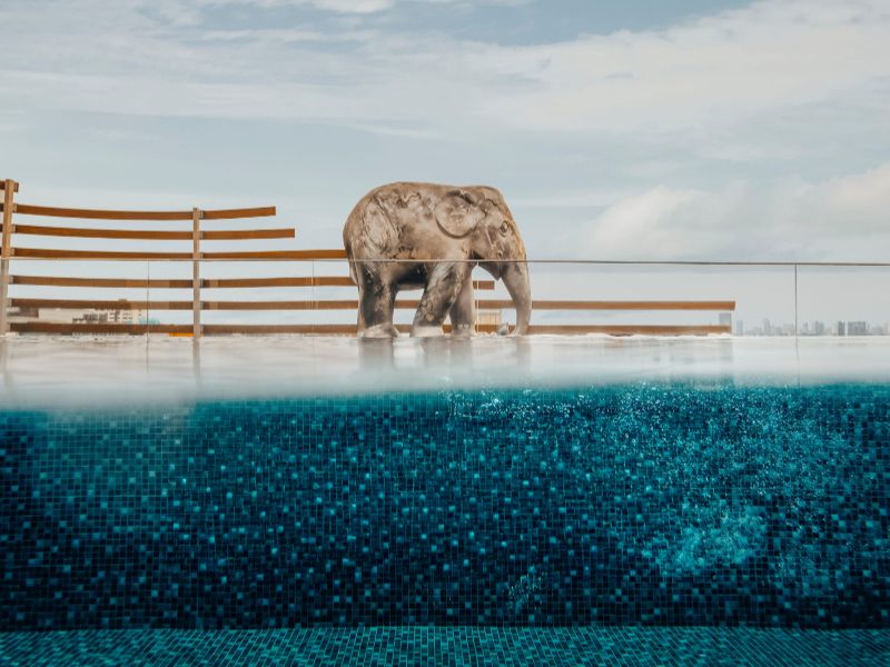 Exoticvoyages
